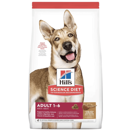 Science Diet Adult Cordero y Arroz