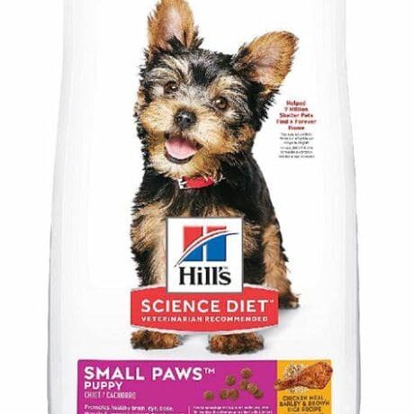 Science Diet Puppy Small Paws Mini