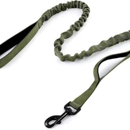 Correa RABBITGOO verde