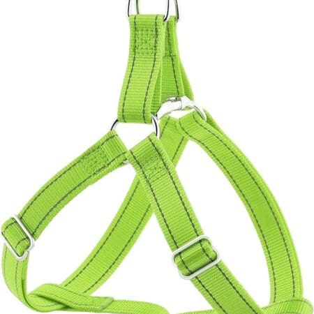 Pechera plutus verde