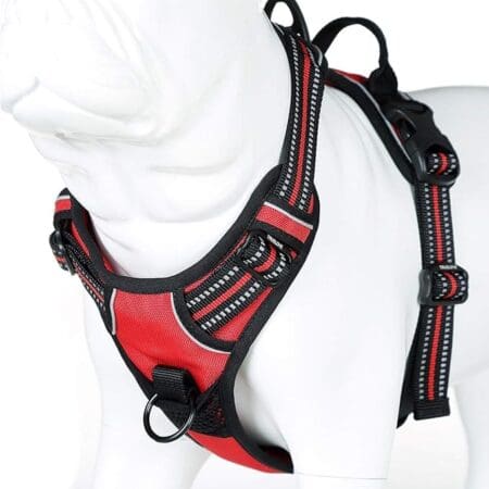 Pechera Rabbitgoo rojo