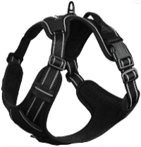 Pechera Rabbitgoo negra