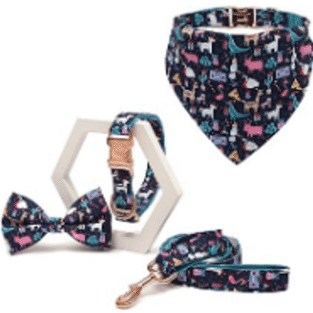 Juego azul collar, correa, etc