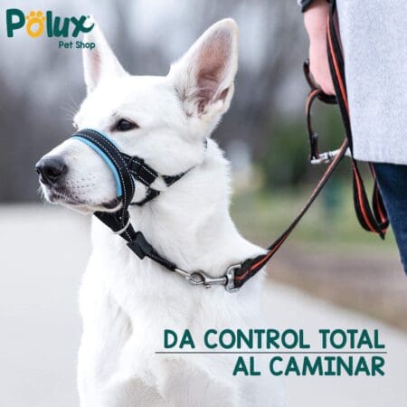 Collar de perro para la cabeza